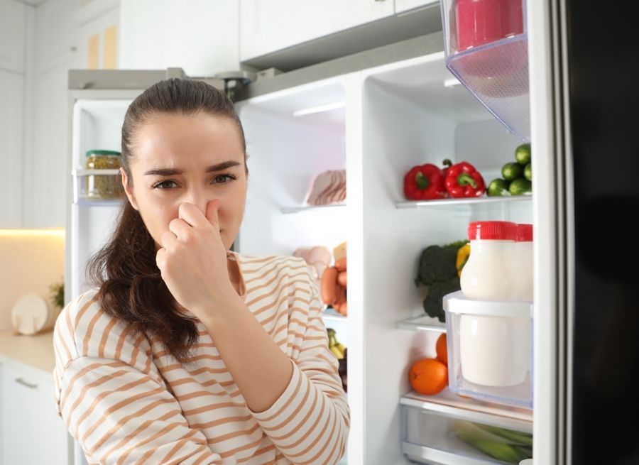 Common Causes Of Kitchen Odors